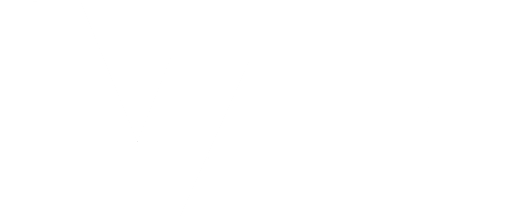 Volli logo